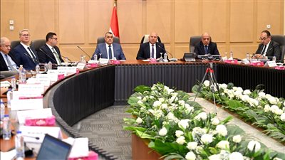 كامل الوزير: إجراءات تصحيحية لإعادة تشغيل مصنعي شركة النصر للمسبوكات