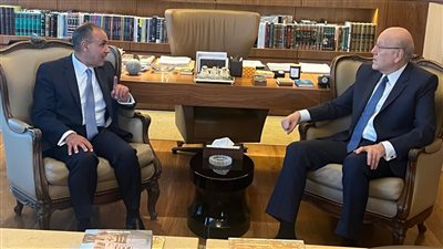 وزير الخارجية يبحث مع رئيس الحكومة اللبنانية جهود وقف إطلاق النار