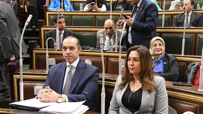 مجلس النواب يوافق نهائيا على مشروع قانون تنظيم لجوء الأجانب