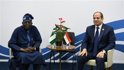 الرئيس السيسي يلتقي نظيره النيجيري على هامش قمة مجموعة العشرين