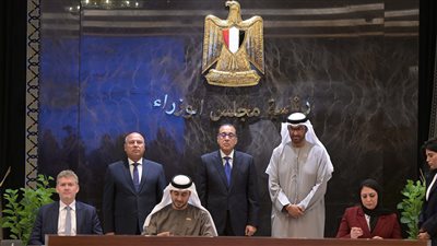 إنشاء مصنع لبطاريات تخزين الطاقة في مصر باستثمارات 12 مليون دولار