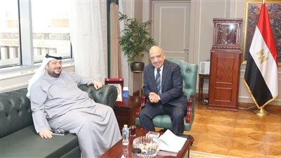 مصر والإمارات تبحثان تعزيز التعاون بمجالات الطاقات الجديدة وتنويع مصادر توليد الكهرباء 