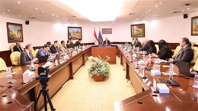 المجلس الوطني للذكاء الاصطناعي يستعرض خطة تنفيذ الميثاق المصري المسؤول