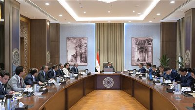  «جريت وول موتورز» تخطط لإنشاء أكبر مصانعها خارج  الصين في مصر