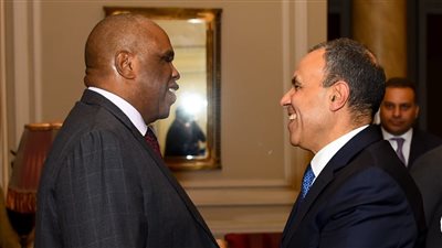 وزير الخارجية يؤكد حرص مصر على تعزيز التعاون مع البنك الأفريقي للتصدير والاستيراد