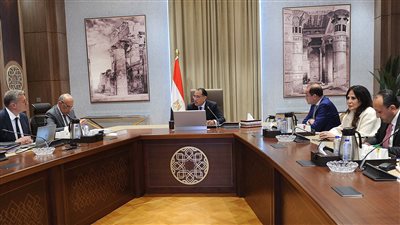 رئيس الوزراء يتابع جهود توفير احتياطيات كافية من الغاز لتشغيل محطات الكهرباء