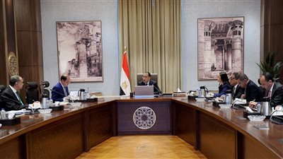 الحكومة: تسوية أوضاع 19.7 ألف سيارة لذوي الهمم بـ2.5 مليار جنيه