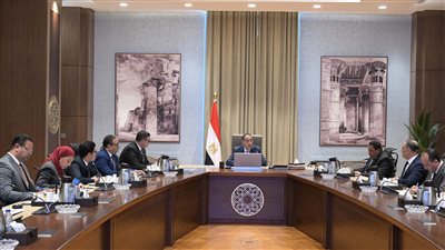 رئيس الوزراء يستعرض مقترحات وفرص التنمية بالأراضي الشاطئية