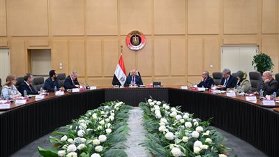  «الوزير» يبحث مع 5 شركات بيلاروسية توطين عدد من الصناعات في مصر