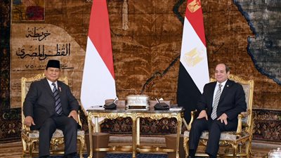الرئيس السيسي ونظيره الأندونيسي يؤكدان أهمية تعزيز التعاون التجاري والاستثماري المشترك