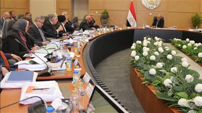 «القابضة لكهرباء مصر» تنفذ استثمارات بقيمة 18.7 مليار جنيه خلال 2023- 2024 