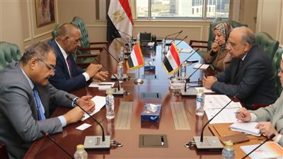 مصر والسودان تبحثان تعزيز الشراكة بمجالات الكهرباء والطاقات المتجددة