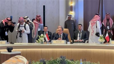 مصر تشارك في الاجتماع الوزاري العربي حول سوريا في الرياض