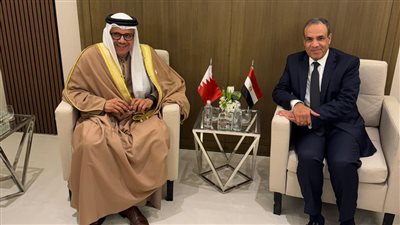 وزيرا خارجية مصر والبحرين يؤكدان أهمية التكاتف الإقليمي والدولي لاستعادة الاستقرار بسوريا