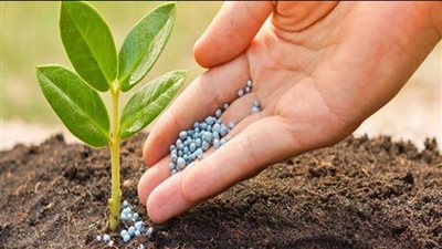 عرض إماراتي للاستحواذ على 90% من شركة سماد مصر