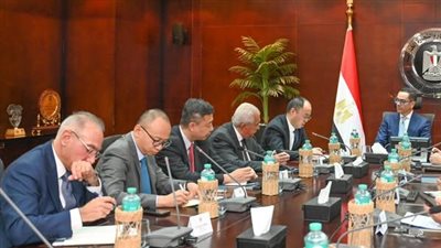 بروميتون الصينية تعتزم تعزيز استثماراتها في مصر بمجال صناعة وتصدير الإطارات