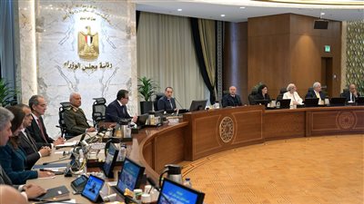 مجلس الوزراء يوافق على مبادرة دعم ومساندة 7 قطاعات صناعية ذات أولوية