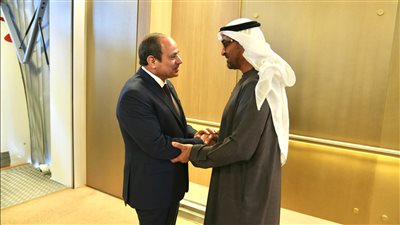 الرئيسان المصري والإماراتي يؤكدان ضرورة إدخال المساعدات الإنسانية بالكميات الكافية لأهالي غزة