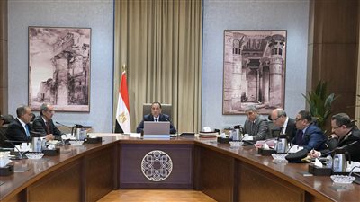 رئيس الوزراء يبحث مقترحات تيسير إنهاء إجراءات وصول السائحين إلى المطارات المصرية