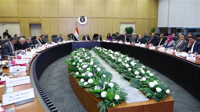 نمو الصناعات التحويلية في مصر 7.1% بالربع الأول من 2024-2025