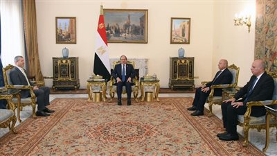 السيسي يبحث مع المنظمة البحرية الدولية سبل استعادة الأمن بمضيق باب المندب