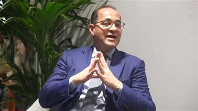 وزير المالية يدعو شركات هونج كونج للتوسع باستثماراتها في مصر