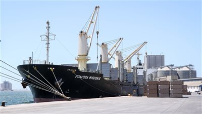 تداول 17 ألف طن و1236 شاحنة بضائع بموانئ البحر الأحمر 