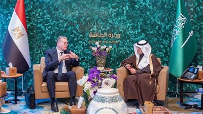 وزير البترول يبحث مع نظيره السعودي جهود تعزيز التعاون في مجال الطاقة