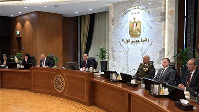 رئيس الوزراء: بدء اجتماعات اللجان الاستشارية الأسبوع المقبل