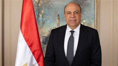 وزير الطيران يبحث فرص مشاركة القطاع الخاص البريطاني بمجالات النقل الجوي المصري