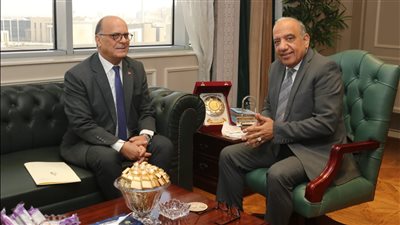 مصر وتونس تبحثان تعزيز التعاون والاستثمار بمختلف مجالات الكهرباء والطاقة المتجددة