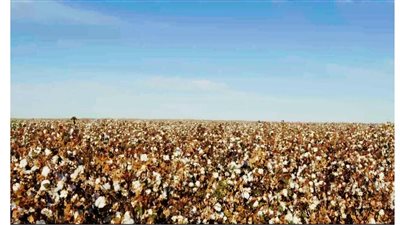 وزير قطاع الأعمال: نستهدف توفير مدخلات الإنتاج محليًا لمصانع الغزل والنسيج