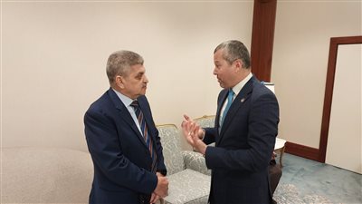 رئيس قناة السويس يبحث التعاون مع المنظمة البحرية الدولية IMO