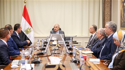 وزير قطاع الأعمال يبحث مع «سيمنس» تعزيز استخدام الحلول التكنولوجية بالشركات التابعة