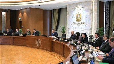 تخصيص قطع أراضٍي لبعض الشركات بنظام البيع بالدولار من خارج البلاد