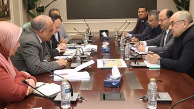 وزيرا الكهرباء وقطاع الأعمال يبحثان سبل التعاون بمجال الطاقة المتجددة والتحول الأخضر