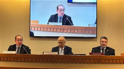 وزير المالية يطرح الأولويات المصرية لمعالجة تحديات الديون وتمويل التنمية بأفريقيا