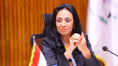 «التضامن» تقر توفيق أوضاع 3 جمعيات في محافظتي القاهرة وأسوان