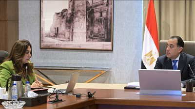 الحكومة: طرح المجازر المطورة على القطاع الخاص لإدارتها وتشغيلها