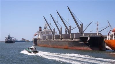 تداول 12 ألف طن و742 شاحنة بضائع بموانئ البحر الأحمر