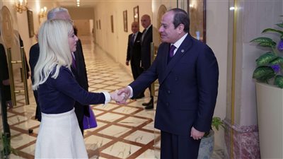 الرئيس السيسي يؤكد حرص مصر على مواصلة تعزيز التعاون الثنائي مع قبرص