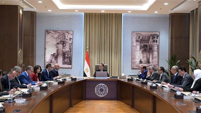 الحكومة: تحصيل 4.84 مليار جنيه من مكافحة التهريب الجمركي خلال 2024