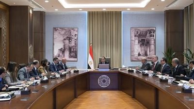 رئيس الوزراء يستعرض مشروعاً مقترحاً لإنتاج الهيدروجين والأمونيا الخضراء بخليج السويس