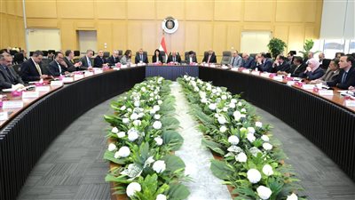 الحكومة تدرس إقامة محطة تغذية كهربائية للمناطق الصناعية بالإسماعيلية 