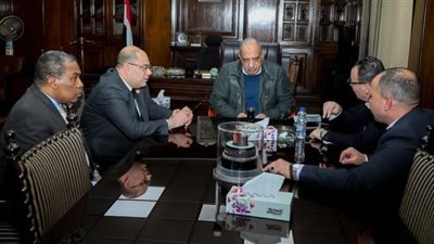 وزير الكهرباء يتابع مستجدات تنفيذ مشروع المحطة النووية بالضبعة 