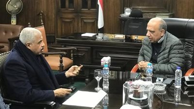 وزير الكهرباء يبحث مع مجموعة طلعت مصطفى التوسع فى استخدام الطاقة الشمسية 