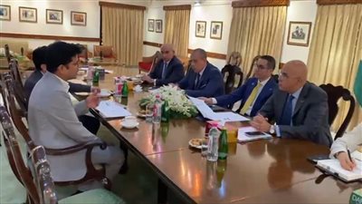 خطة لإنشاء شبكة كهرباء لمشروعات الهيدروجين الأخضر في مصر بـ6 مليارات دولار