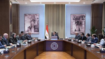 مدبولي: توجيهات رئاسية بتوفير احتياجات مشروعات الاستصلاح الزراعي الجديدة