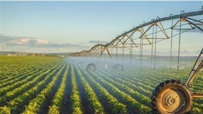 تعديل النظام الداخلي لـ 3 جمعيات تعاونية زراعية في الوادي الجديد