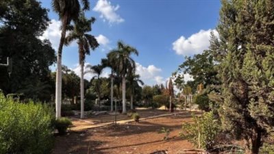 الحكومة تكشف حقيقة قطع الأشجار والنباتات النادرة بحديقة المسلة التراثية